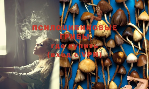 гашиш Гусев