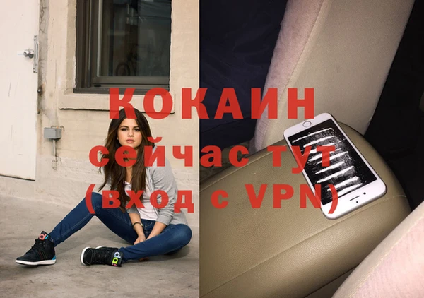 гидропоника Гусь-Хрустальный