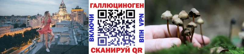 omg ССЫЛКА  Новый Оскол  Галлюциногенные грибы Psilocybe 